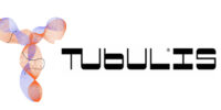 tubulis2